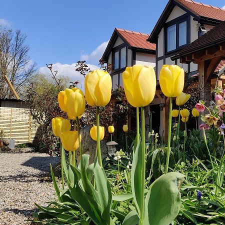 Delightful & Picturesque Modern Detached Apartment, Next To Chester Zoo, Near Park And Ride To City Centre Extérieur photo
