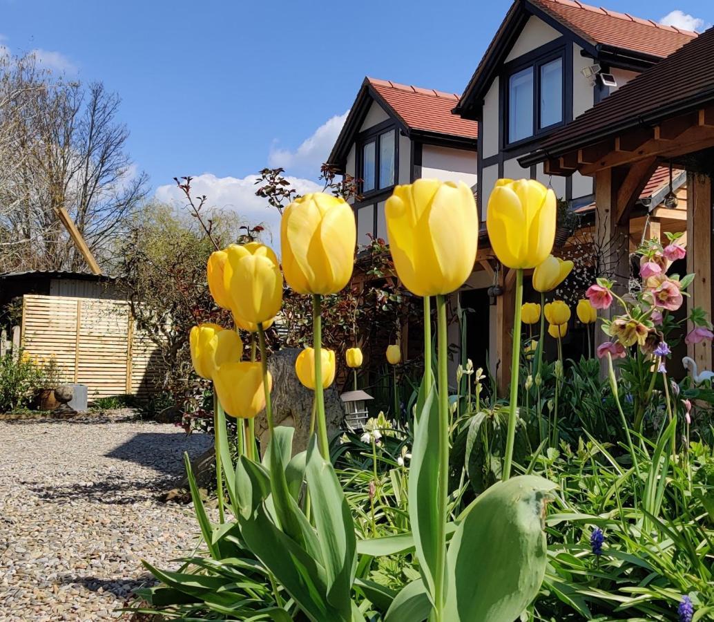 Delightful & Picturesque Modern Detached Apartment, Next To Chester Zoo, Near Park And Ride To City Centre Extérieur photo
